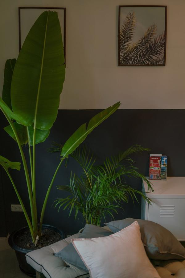 Hostel Pause Kathu Exteriér fotografie